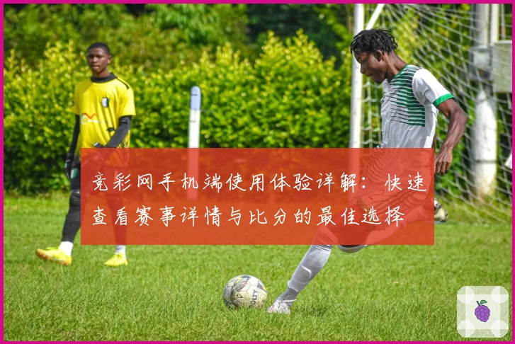 竞彩网手机端使用体验详解：快速查看赛事详情与比分的最佳选择