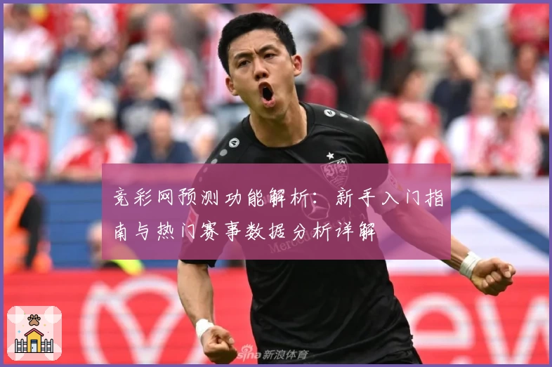 竞彩网预测功能解析：新手入门指南与热门赛事数据分析详解