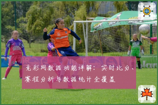 竞彩网数据功能详解：实时比分、赛程分析与数据统计全覆盖