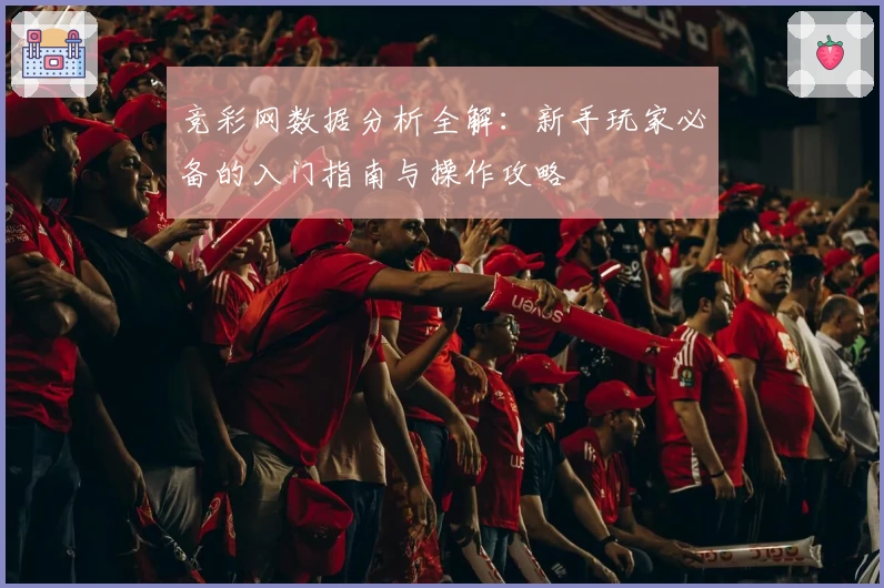 竞彩网数据分析全解：新手玩家必备的入门指南与操作攻略