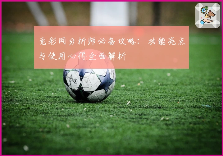 竞彩网分析师必备攻略：功能亮点与使用心得全面解析